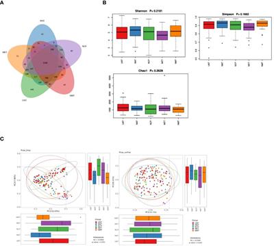 Effect of oral metformin on gut microbiota characteristics and metabolite fractions in normal-weight type 2 diabetic mellitus patients